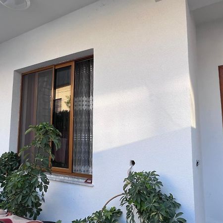 David Guesthouse Shkodër 외부 사진
